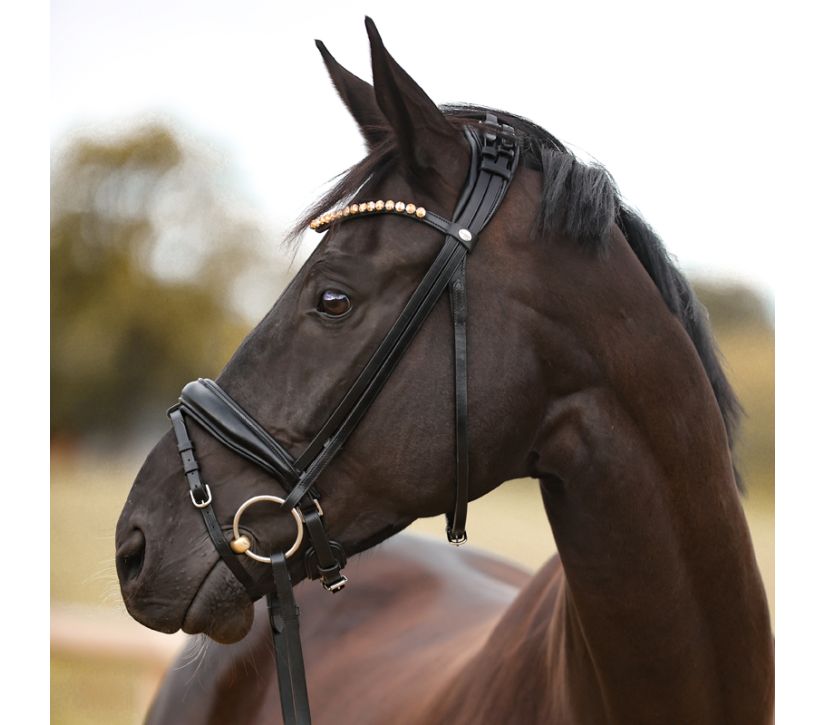 Ogłowie Fortuna Kavalkade KavalSH4 z nachrapnikiem szwedzkim - Cavalo